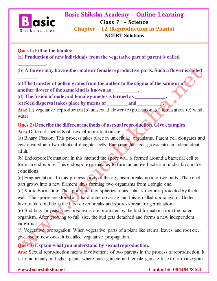 CBSE Class - 7 Chapter 12 NCERT Solutions