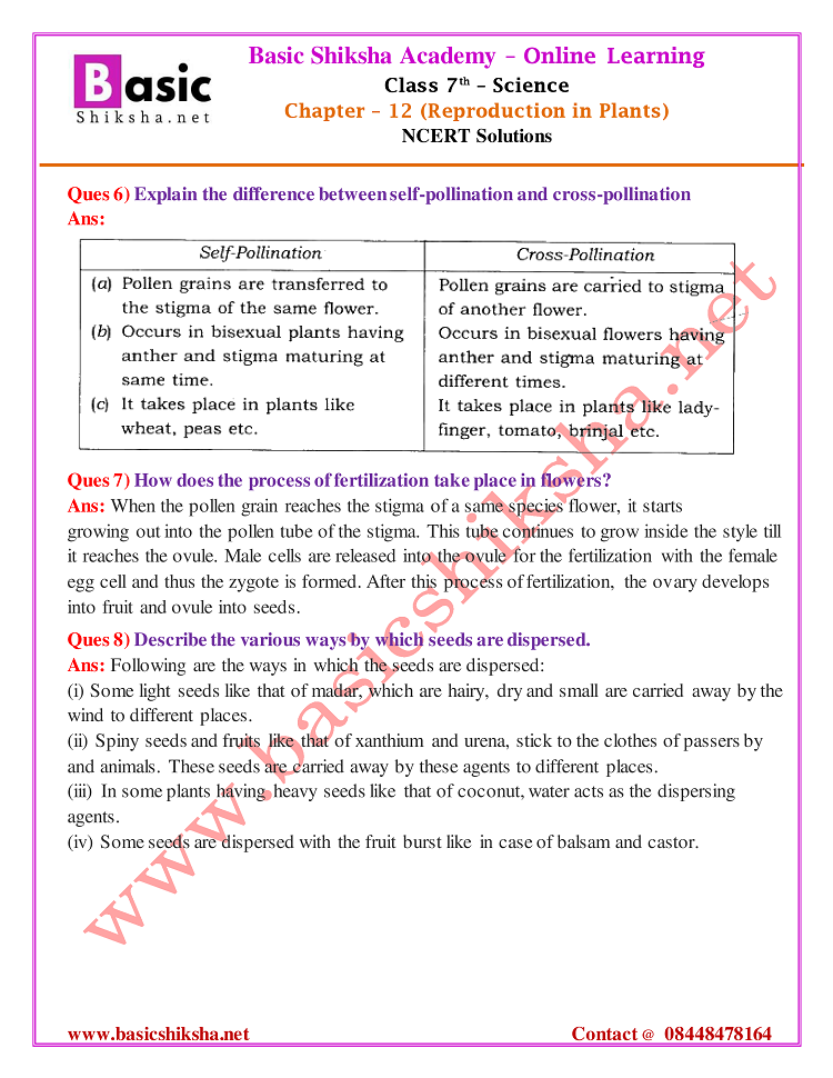 CBSE Class - 7 Chapter 12 NCERT Solutions