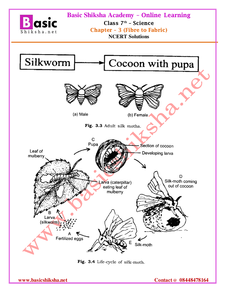 CBSE Class 7 Chapter 3 Science NCERT Questions Answers