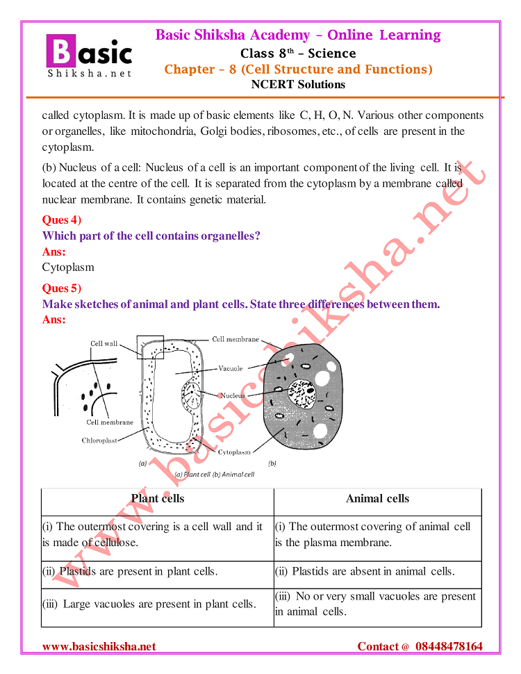 CBSE Class - 8 Chapter 8 NCERT Solutions