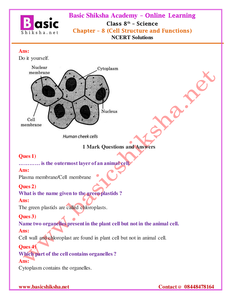 CBSE Class - 8 Chapter 8 NCERT Solutions