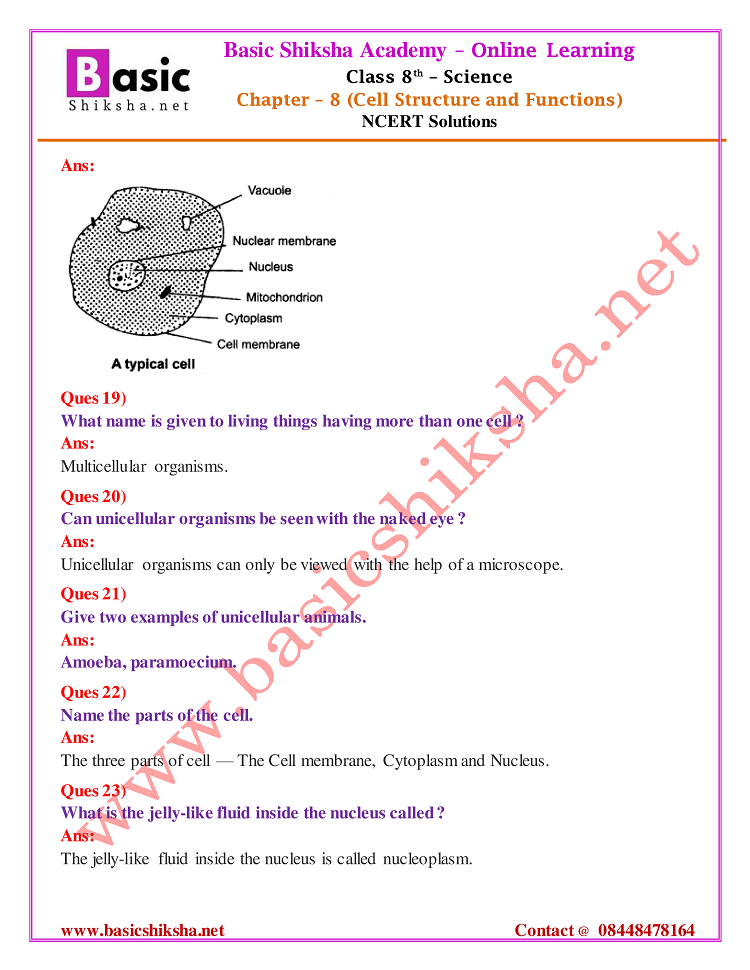 CBSE Class - 8 Chapter 8 NCERT Solutions