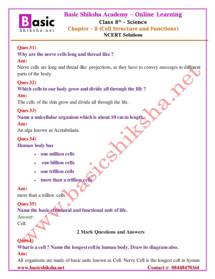 CBSE Class - 8 Chapter 8 NCERT Solutions