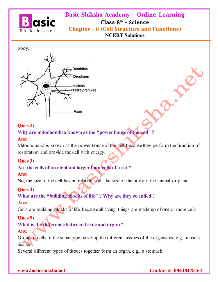 CBSE Class - 8 Chapter 8 NCERT Solutions