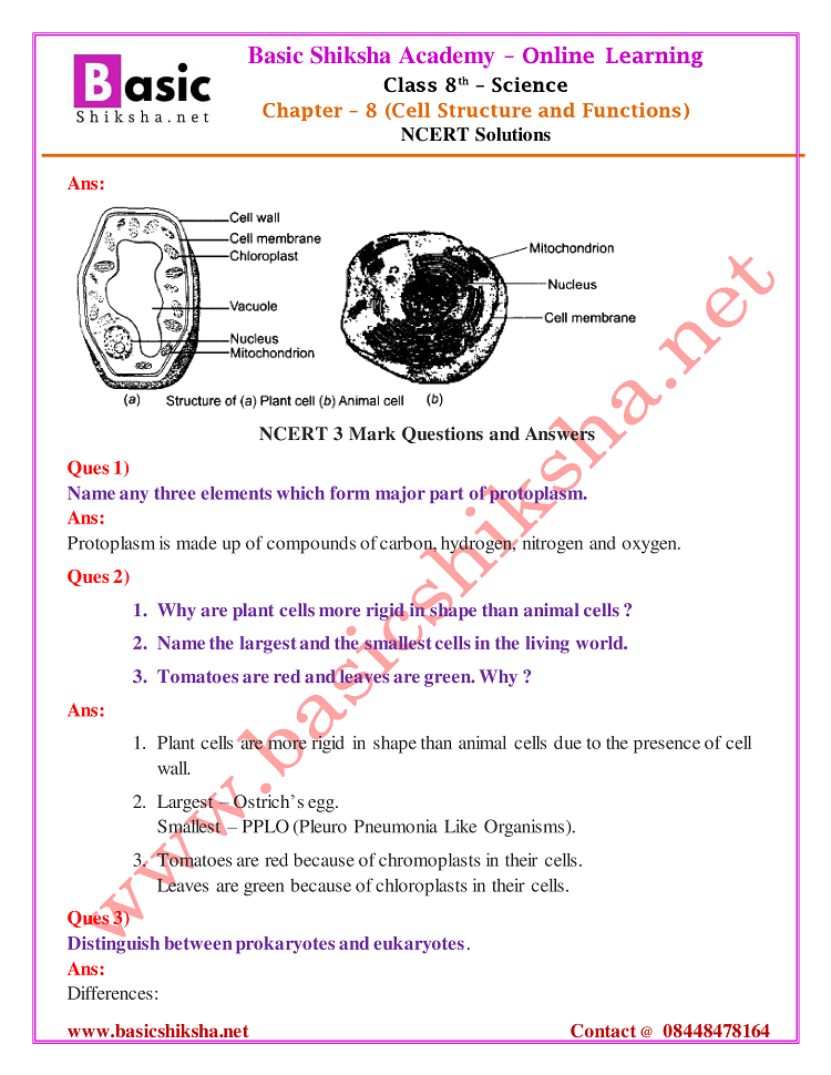 CBSE Class - 8 Chapter 8 NCERT Solutions