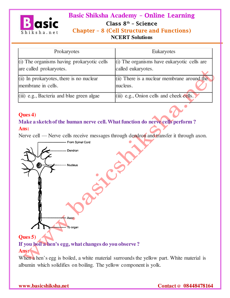 CBSE Class - 8 Chapter 8 NCERT Solutions