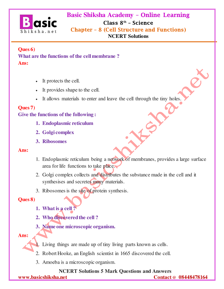 CBSE Class - 8 Chapter 8 NCERT Solutions