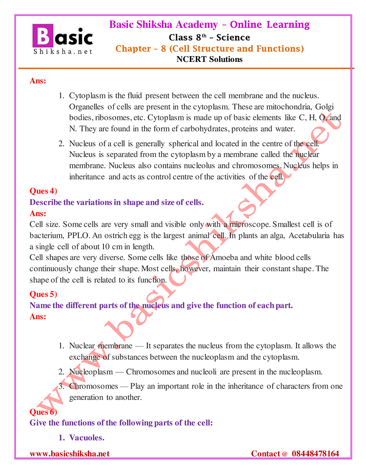 CBSE Class - 8 Chapter 8 NCERT Solutions