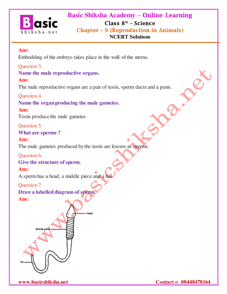 CBSE Class 8 Chapter 9 Science NCERT Questions Answers