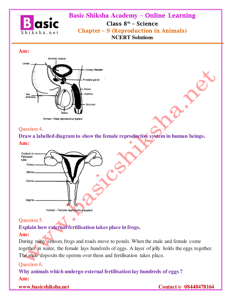 CBSE Class 8 Chapter 9 Science NCERT Questions Answers