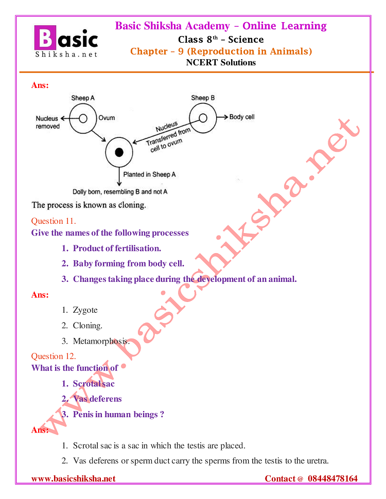 CBSE Class 8 Chapter 9 Science NCERT Questions Answers
