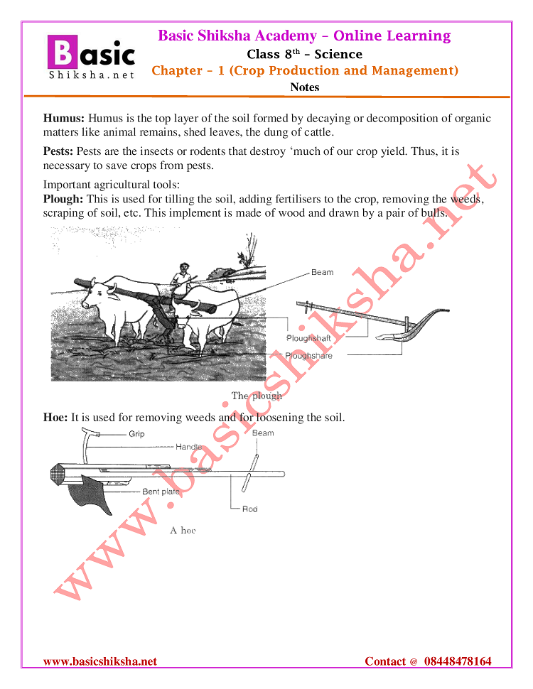 CBSE Class 8 Chapter 1 NCERT Notes