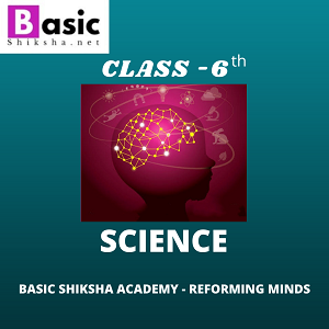 Chapter 10 (स्वस्थ और स्वच्छता)